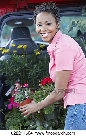 Woman loading plants into car, (portrait) View Large Photo Image Picture - Woman loading plants into car, (portrait). Fotosearch