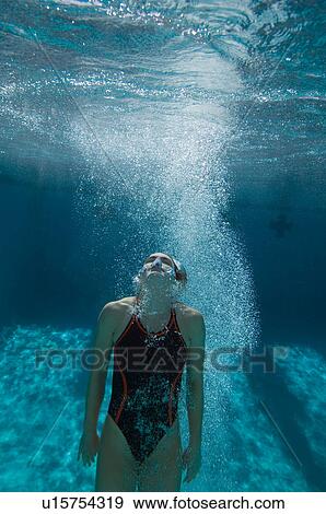 Young female swimmer in swimming pool View Large Photo Image Stock Photo - Young female swimmer in swimming pool. Fotosearch