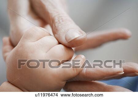 Picture - Baby holding elderly woman's hand, close up of hands. Fotosearch