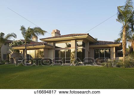 Backyard of House With Palm Trees View Large Photo Image Stock Photo - Backyard of House With Palm Trees. Fotosearch