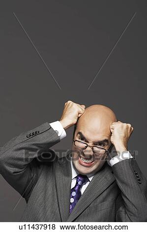 Bald businessman, fists on head, pounding head, making a face View Large Photo Image Stock Photo - Bald businessman, fists on head, pounding head, making a face. Fotosearch