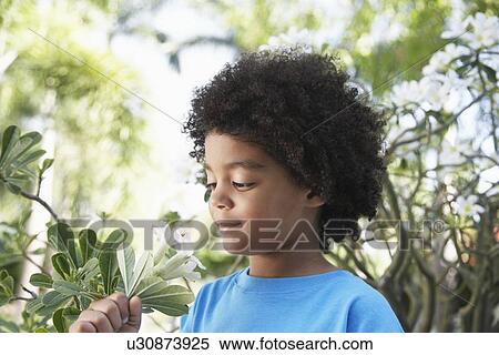 Boy (5-6 years) smelling flowers in garden View Large Photo Image Stock Photography - Boy (5-6 years) smelling flowers in garden. Fotosearch