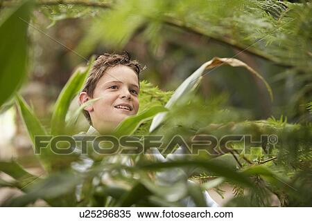 Boy Looking at Plants View Large Photo Image Stock Photography - Boy Looking at Plants. Fotosearch