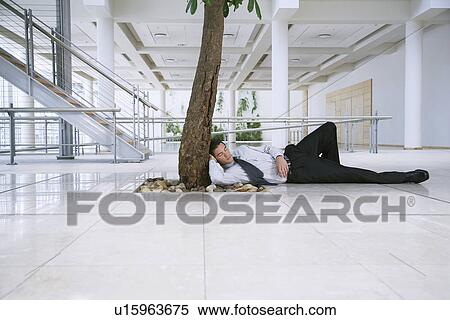 Businessman sleeping under tree outside office View Large Photo Image Stock Photography - Businessman sleeping under tree outside office. Fotosearch