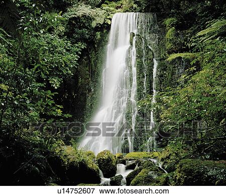Cascade waterfall in rainforest View Large Photo Image Stock Photo - Cascade waterfall in rainforest. Fotosearch