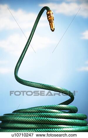 Curled up garden hose rearing up in front of blue sky View Large Photo Image Stock Photo - Curled up garden hose rearing up in front of blue sky. Fotosearch