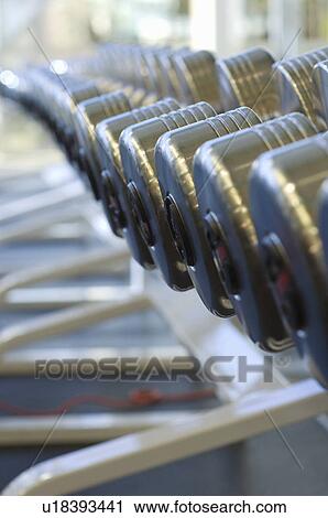 Stock Image - Dumbbells on Rack at Gym. Fotosearch