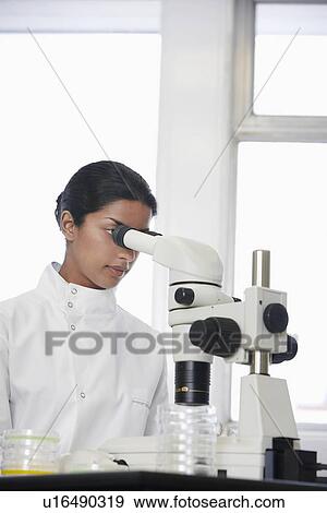 Stock Photo - Female lab worker using microscope to examine petri dish. Fotosearch