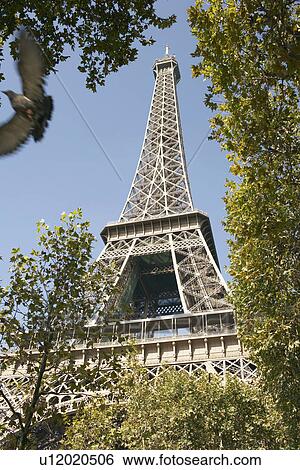Stock Photograph - France, Paris, Eiffel tower through trees. Fotosearch