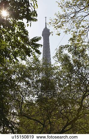 France, Paris, top of Eiffel tower through trees View Large Photo Image Stock Photo - France, Paris, top of Eiffel tower through trees. Fotosearch