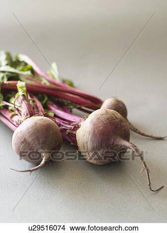 Fresh Beets View Large Photo Image Picture - Fresh Beets. Fotosearch
