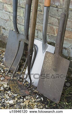Stock Image - Garden Shovels and Tools Leaning on Brick Wall. Fotosearch