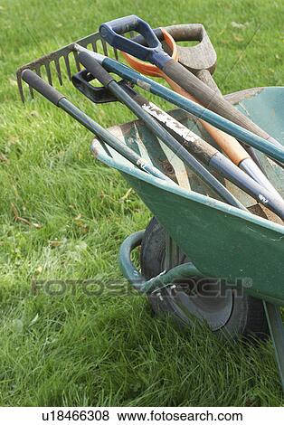 Gardening Tools in wheelbarrow View Large Photo Image Stock Photo - Gardening Tools in wheelbarrow. Fotosearch