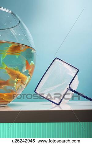 Goldfish Bowl and Net View Large Photo Image Stock Photography - Goldfish Bowl and Net. Fotosearch
