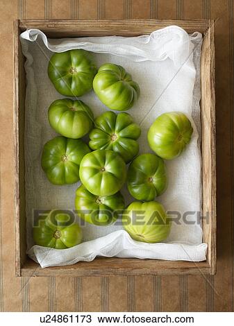 Green tomatoes in wooden box, overhead view View Large Photo Image Stock Image - Green tomatoes in wooden box, overhead view. Fotosearch