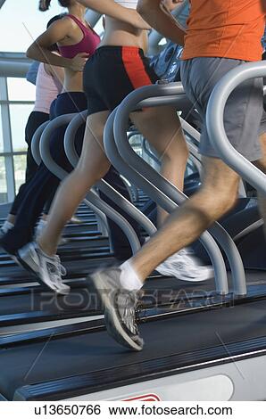 Joggers on Treadmills in Gym View Large Photo Image Stock Photograph - Joggers on Treadmills in Gym. Fotosearch