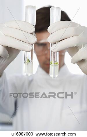 Male lab worker comparing two test tubes with liquid View Large Photo Image Stock Image - Male lab worker comparing two test tubes with liquid. Fotosearch