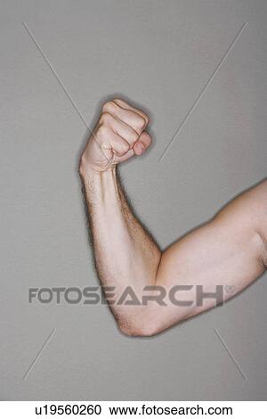 Stock Image - Man flexing biceps, close-up on arm. Fotosearch