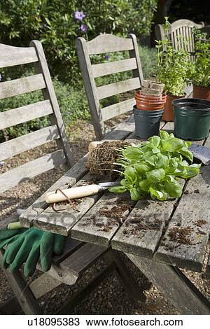Stock Image - Materials for Potting Plants on Picnic Table. Fotosearch