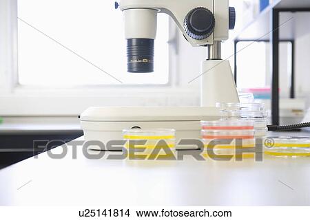 Picture - Microscope and petri dishes. Fotosearch