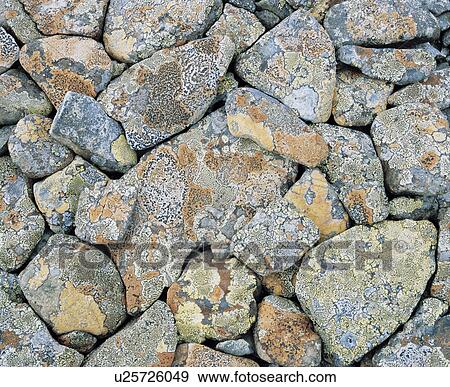 Stock Photo - Moss covered rocks. Fotosearch