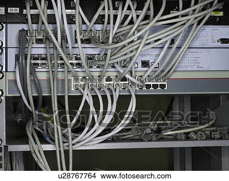 Network cables connecting network switches. View Large Photo Image Picture - Network cables connecting network switches.. Fotosearch