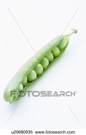 Open pea pod containing peas, close-up View Large Photo Image Stock Photography - Open pea pod containing peas, close-up. Fotosearch