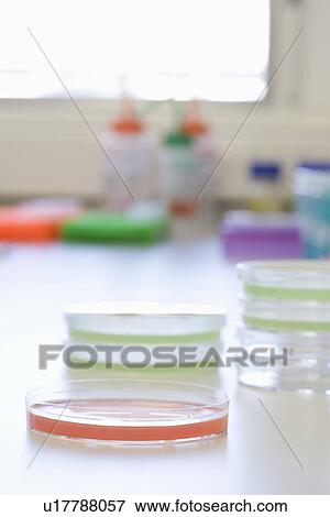 Petri dishes View Large Photo Image Stock Photo - Petri dishes. Fotosearch