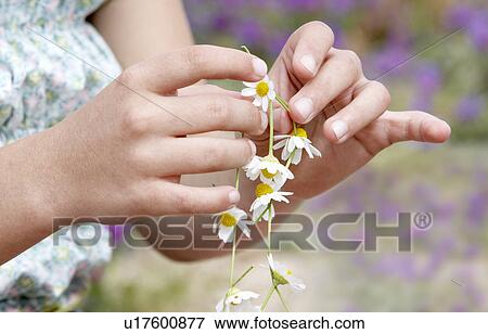 Pre-teen Girl Making Necklace of Flowers, close-up View Large Photo Image Stock Photo - Pre-teen Girl Making Necklace of Flowers, close-up. Fotosearch