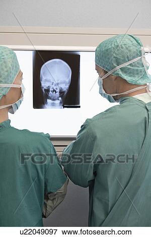 Radiologists Examining X-Ray of skull, back view View Large Photo Image Stock Photo - Radiologists Examining X-Ray of skull, back view. Fotosearch