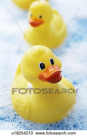 Row of rubber ducks in bubble bath, elevated view, close-up View Large Photo Image Stock Image - Row of rubber ducks in bubble bath, elevated view, close-up. Fotosearch