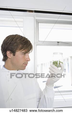 Scientist holding sample in laboratory View Large Photo Image Stock Image - Scientist holding sample in laboratory. Fotosearch