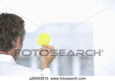 Scientist holding sample in laboratory View Large Photo Image Stock Photography - Scientist holding sample in laboratory. Fotosearch