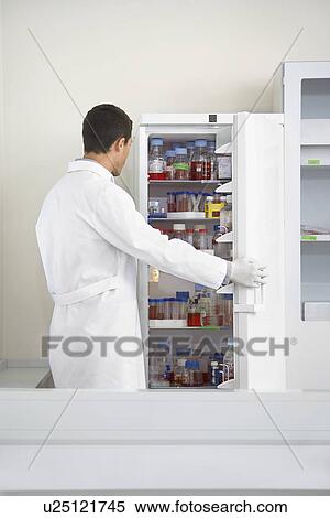 Stock Photography - Scientist looking in refrigerator of specimens in laboratory. Fotosearch