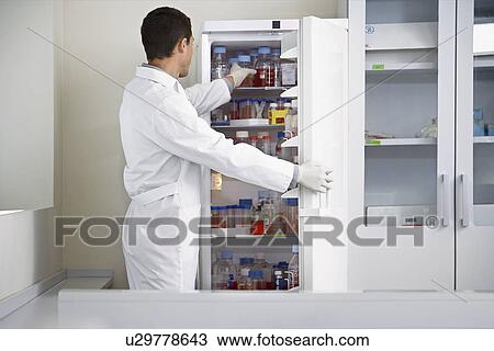 Scientist selecting bottle from refrigerator in laboratory View Large Photo Image Stock Image - Scientist selecting bottle from refrigerator in laboratory. Fotosearch