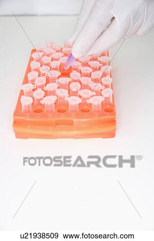 Scientist taking test tubes View Large Photo Image Stock Photo - Scientist taking test tubes. Fotosearch