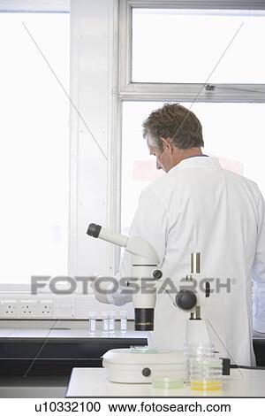 Scientist working behind microscope in laboratory View Large Photo Image Stock Image - Scientist working behind microscope in laboratory. Fotosearch