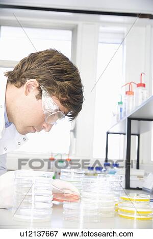 Scientist working in chemistry laboratory View Large Photo Image Stock Photo - Scientist working in chemistry laboratory. Fotosearch