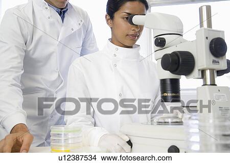 Scientists using microscope in laboratory View Large Photo Image Picture - Scientists using microscope in laboratory. Fotosearch