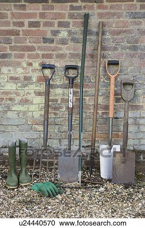 Shovels and Gardening Tools View Large Photo Image Stock Image - Shovels and Gardening Tools. Fotosearch
