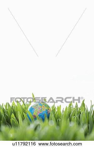 Small globe in grass View Large Photo Image Stock Photograph - Small globe in grass. Fotosearch