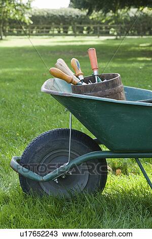 Stock Image - Wheelbarrow Full of Gardening Tools. Fotosearch