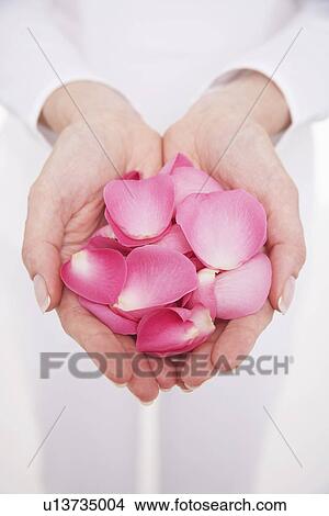 Picture - Woman cupping hands full of petals, mid section, close-up. Fotosearch