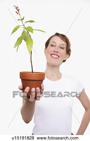 Woman Holding Potted Plant, half-length View Large Photo Image Stock Photo - Woman Holding Potted Plant, half-length. Fotosearch