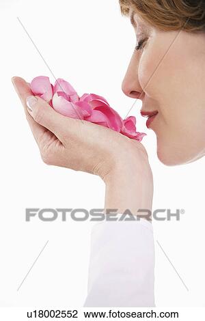 Woman smelling pink rose petals in hand View Large Photo Image Stock Image - Woman smelling pink rose petals in hand. Fotosearch