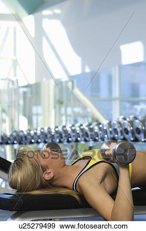 Woman Weightlifting on Bench With Dumbbells View Large Photo Image Stock Photo - Woman Weightlifting on Bench With Dumbbells. Fotosearch