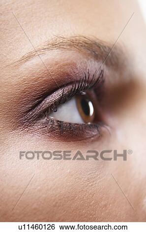 Stock Photograph - Womans Eye. Fotosearch