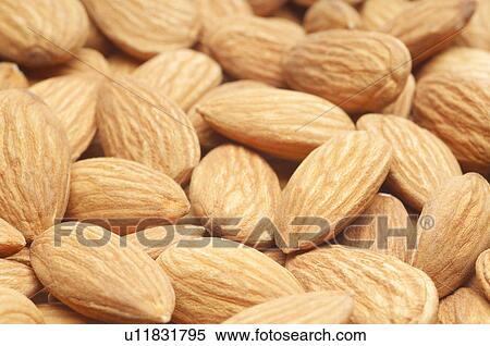 Almonds, close-up View Large Photo Image Stock Photography - Almonds, close-up. Fotosearch