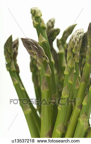 Stock Photo - Asparagus, close-up. Fotosearch