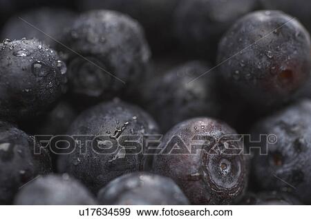 Blueberries, close-up View Large Photo Image Stock Photo - Blueberries, close-up. Fotosearch